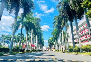 主校道
